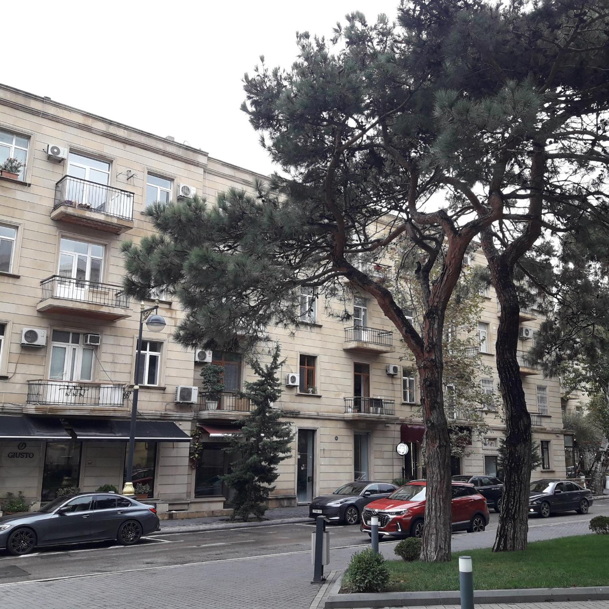 Apartment Niyazi 5 바쿠 외부 사진